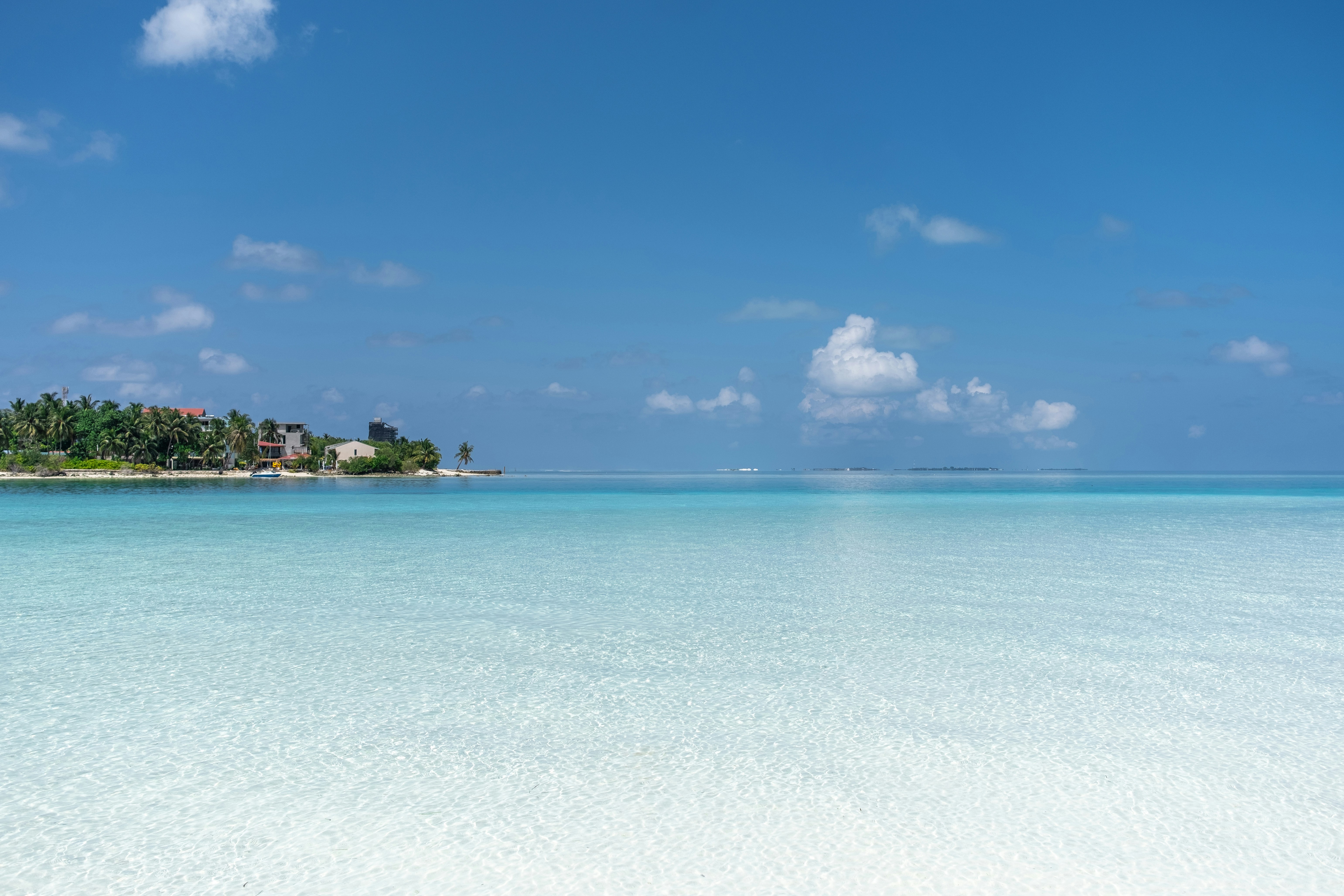 blauwe oceaan
