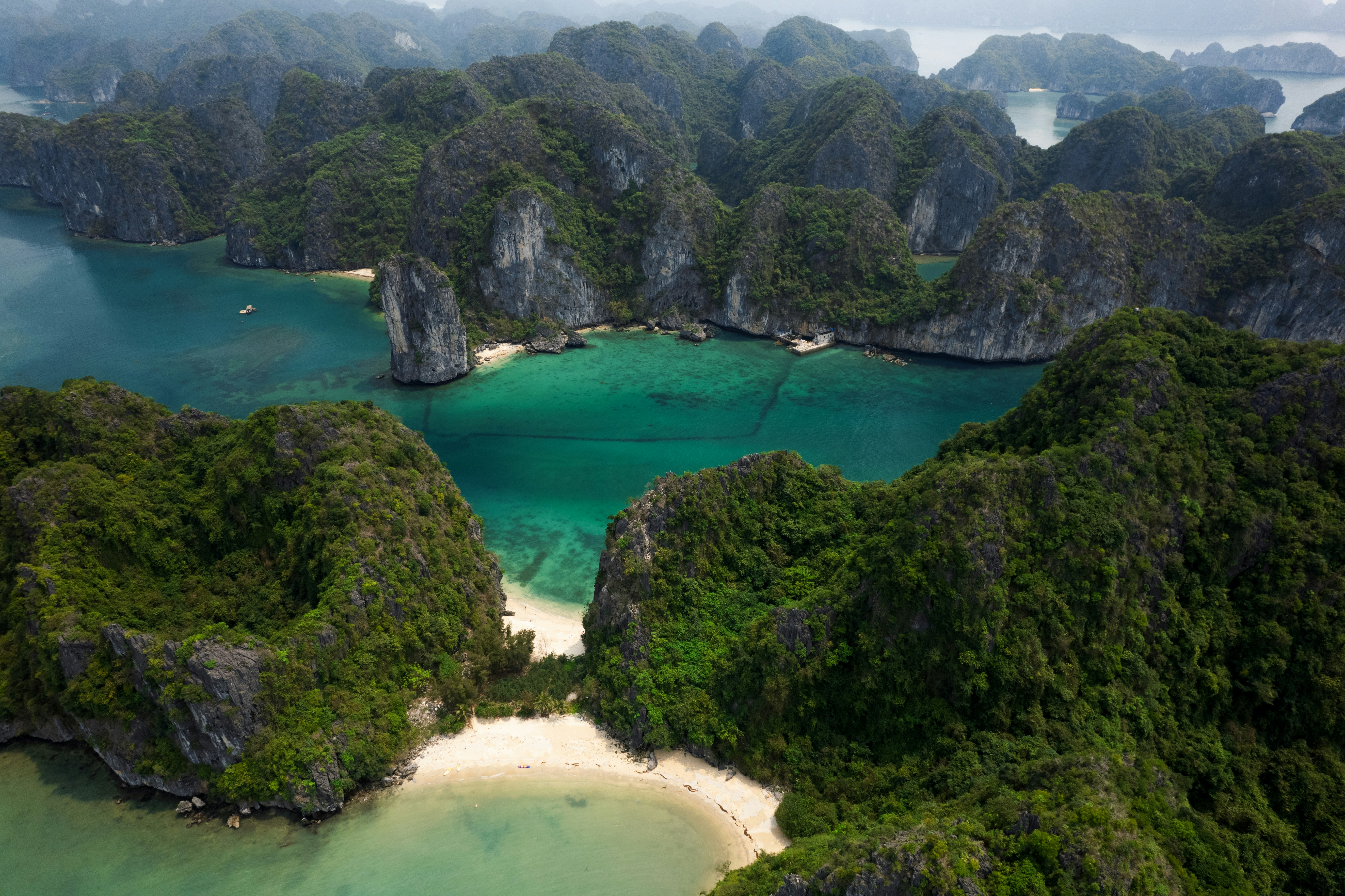 strand, jungle en water