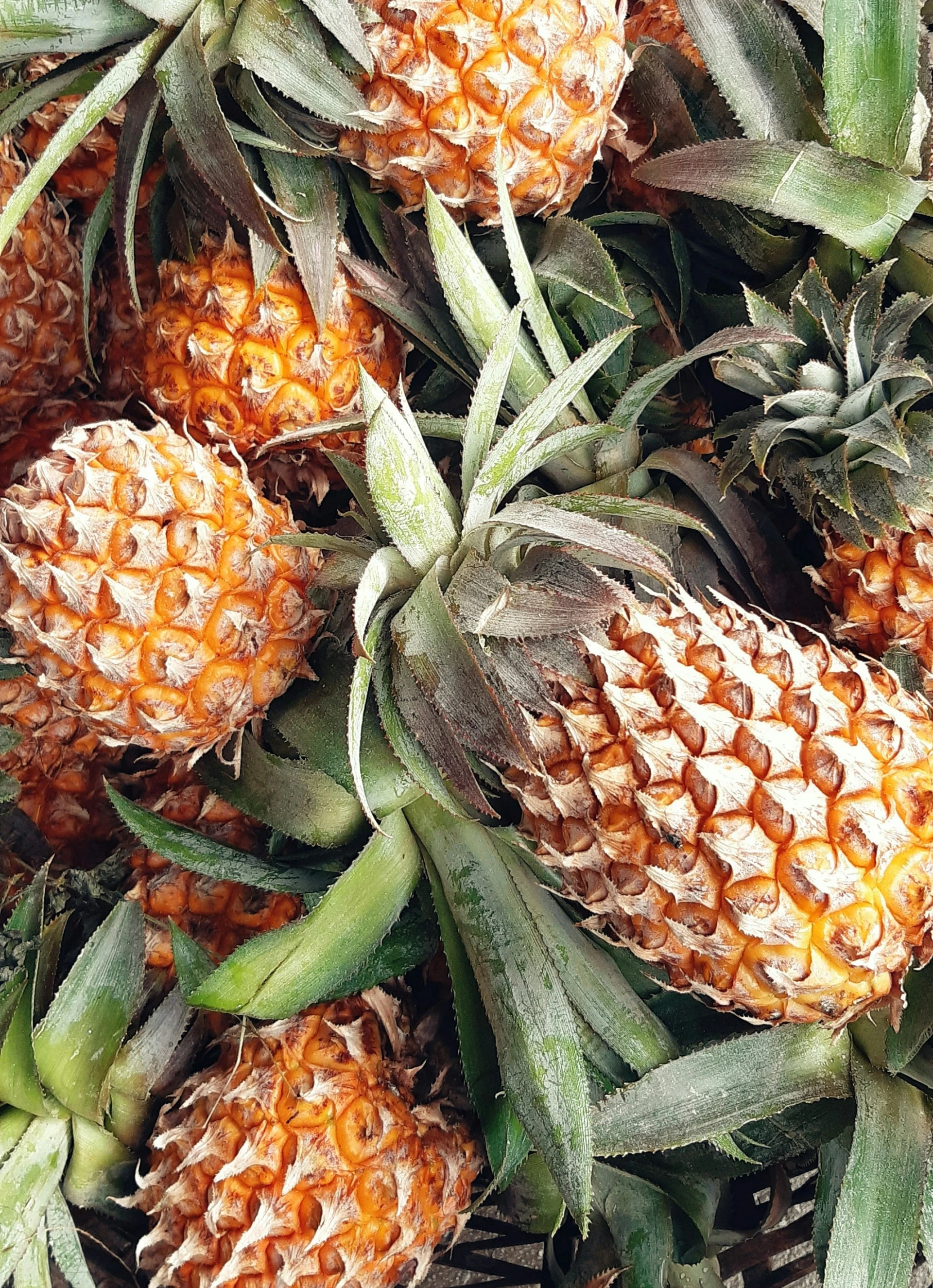 ananas
