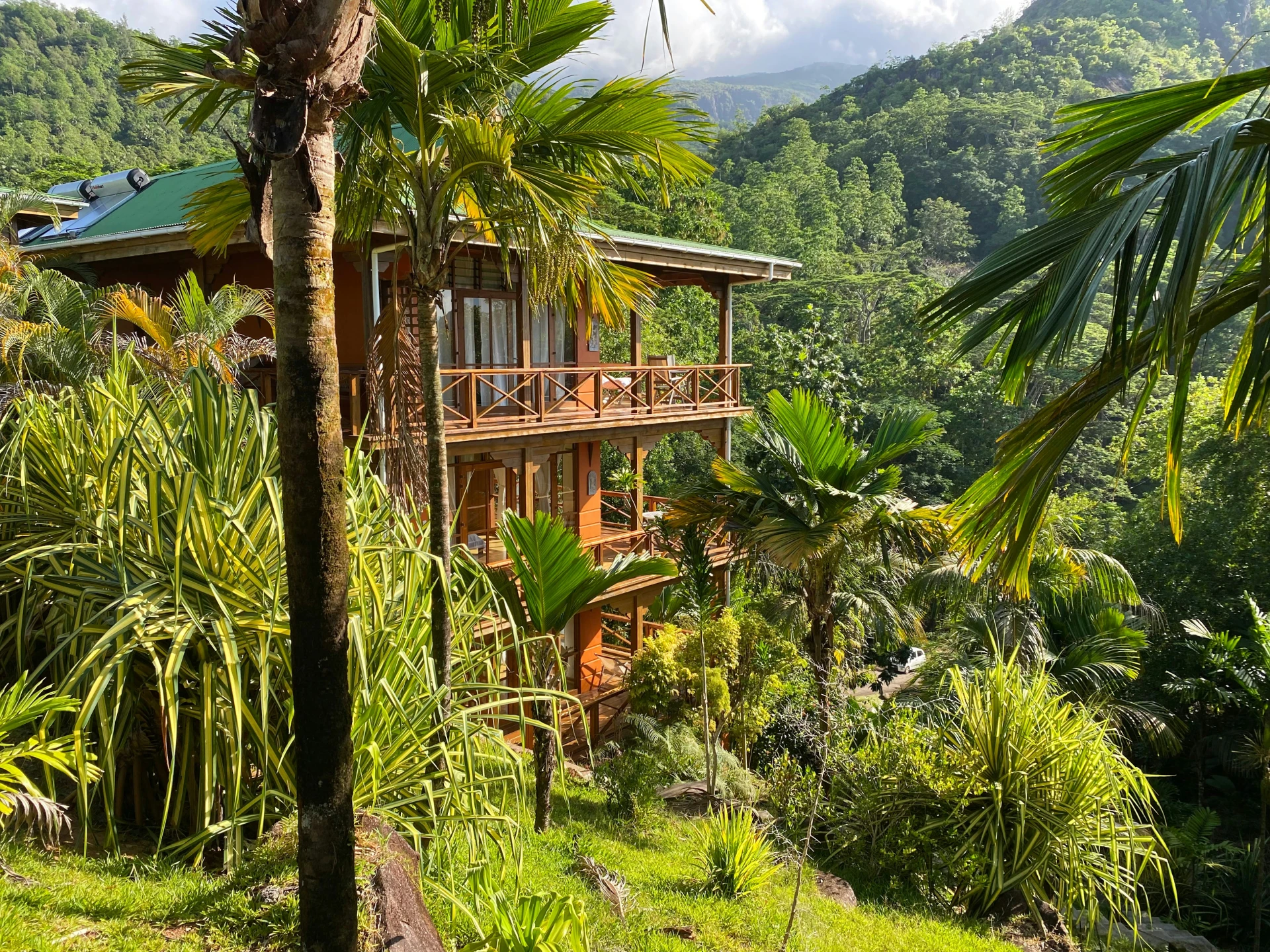 hotel in jungle costa rica