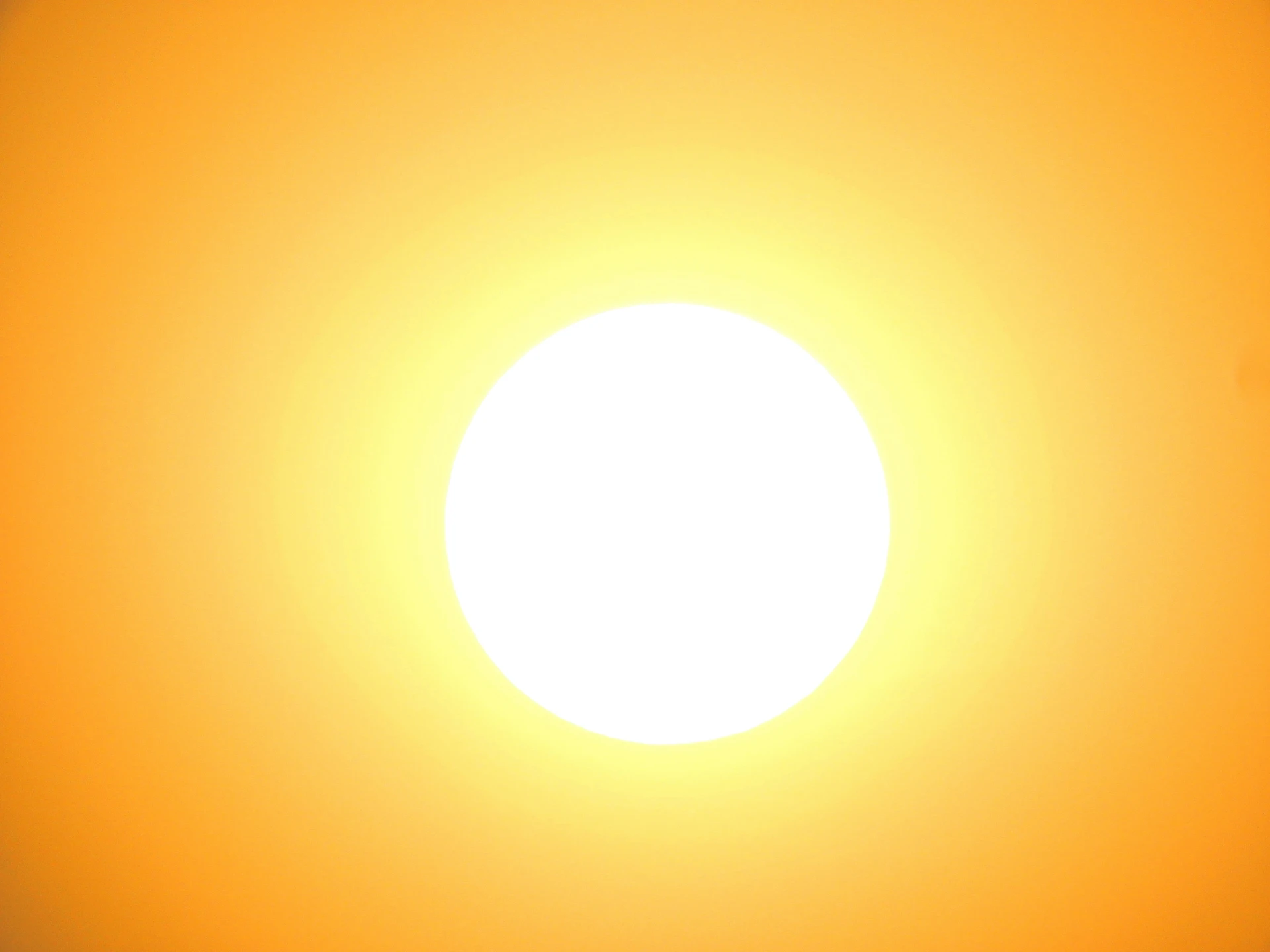 zon