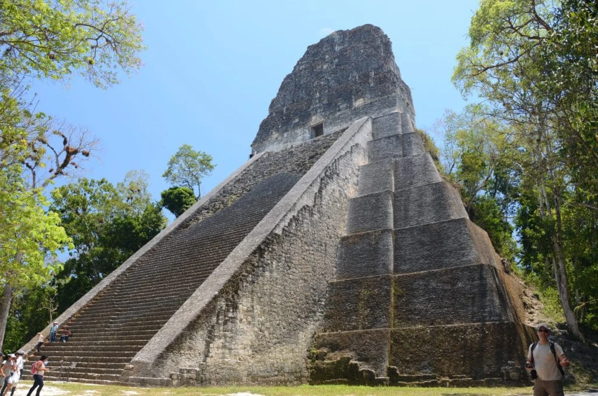 maya tempel in jungle